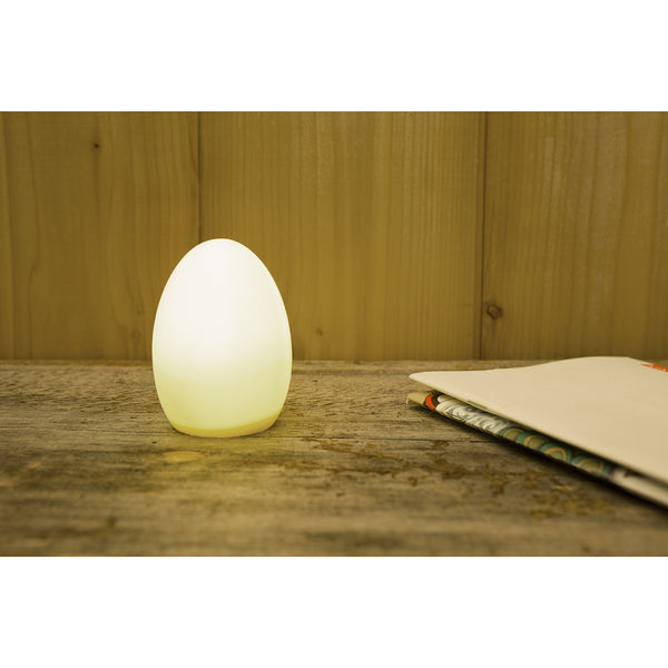 LED Egg Light by Kikkerland - Justin and Friends